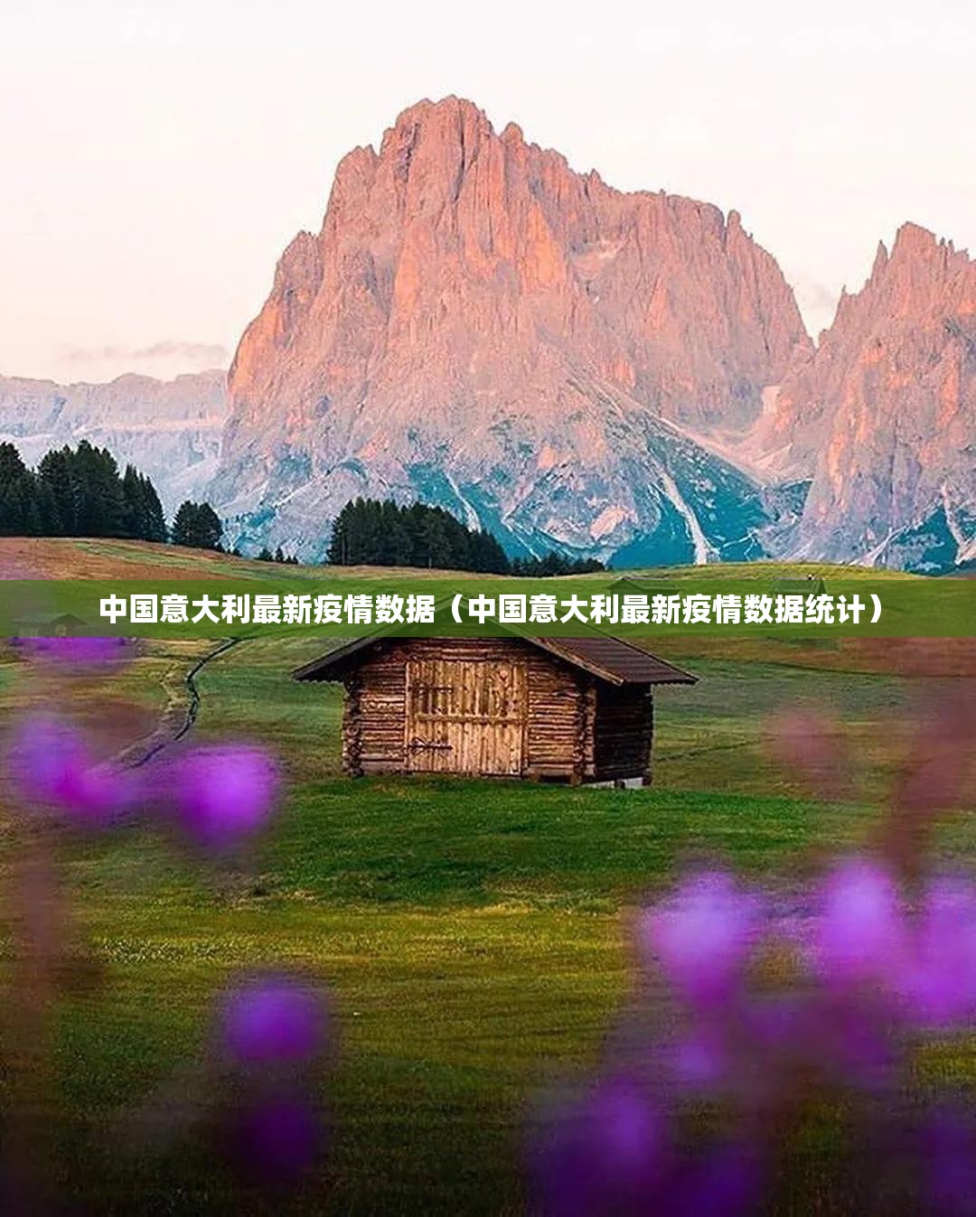 中国意大利最新疫情数据（中国意大利最新疫情数据统计）