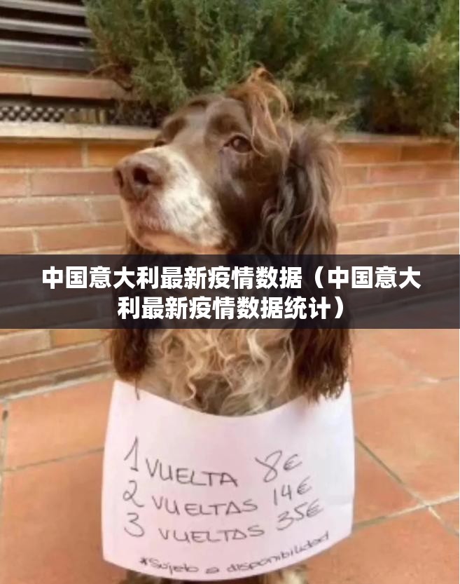 中国意大利最新疫情数据（中国意大利最新疫情数据统计）